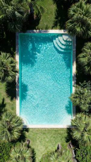 Tropical Oasis: The Aerial Palm Pool Retreat